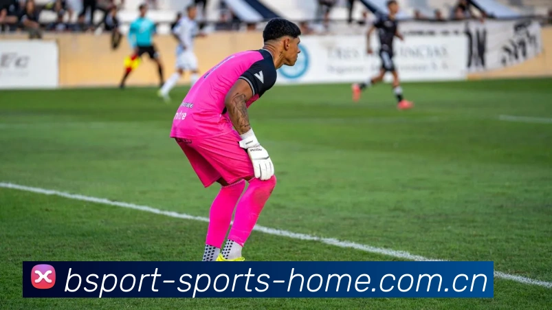 bsport登录通道发展历程